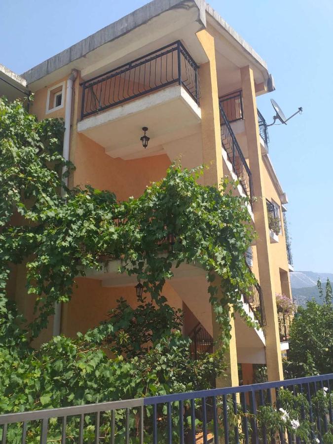 Guesthouse Djacic Budva Zewnętrze zdjęcie