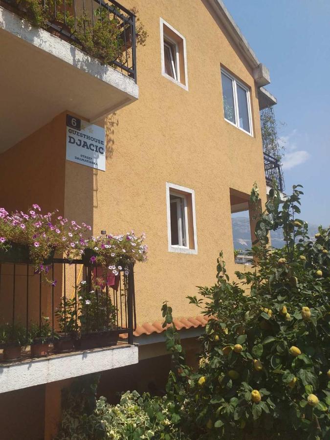 Guesthouse Djacic Budva Zewnętrze zdjęcie